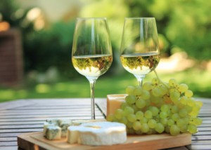 wine-and-grapes-300x214